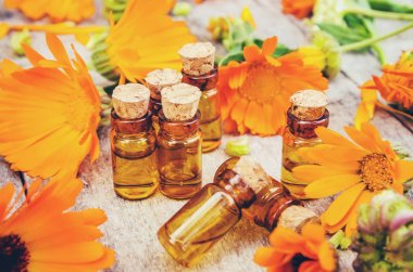 Calendula officinalis ahşap arka plan üzerinde. Seçici odak. 