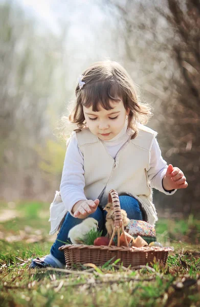 Child Holds Chicken His Hands Girl Bird Selective Focus — Stock Photo, Image