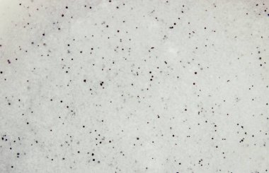 Yüz ve vücut için doku kozmetik jel fırçalayın. Seçici odak. 