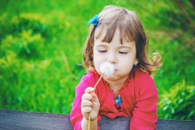 Dandelions hava üfleme kız. seçici odak.