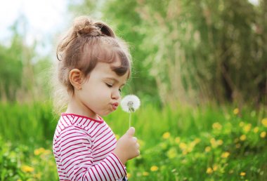 Dandelions hava üfleme kız. seçici odak.