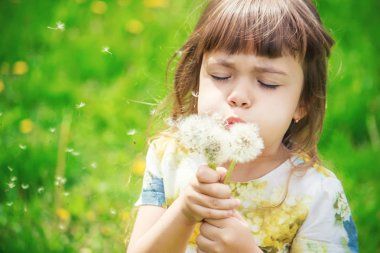 Dandelions hava üfleme kız. seçici odak.