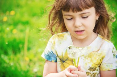 Dandelions hava üfleme kız. seçici odak.