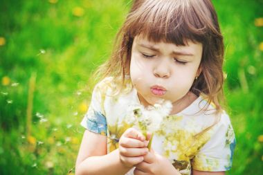Dandelions hava üfleme kız. seçici odak.