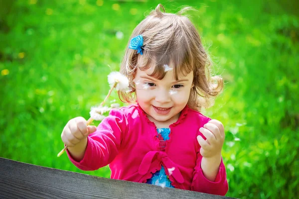 Chica Soplando Dientes León Aire Enfoque Selectivo — Foto de Stock