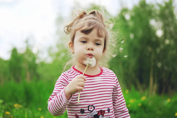 Κορίτσι Φυσάει Πικραλίδες Στον Αέρα Επιλεκτική Εστίαση — Φωτογραφία Αρχείου