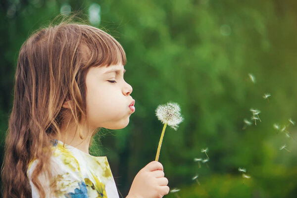 girl blowing dandelions in the air. selective focus.