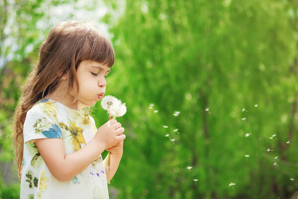 girl blowing dandelions in the air. selective focus.