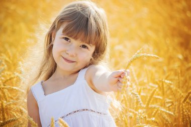 Buğday tarlasında bir çocuk. seçici odak.