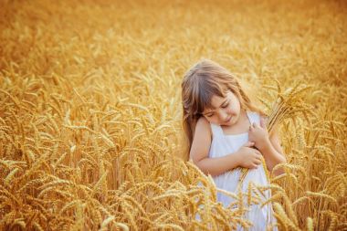 Buğday tarlasında bir çocuk. seçici odak.