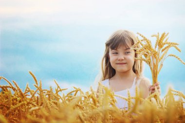 Buğday tarlasında bir çocuk. seçici odak.
