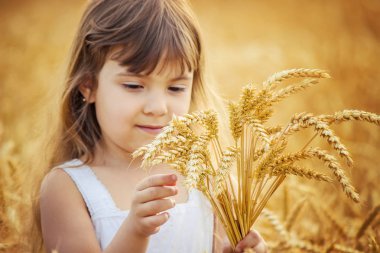 Buğday tarlasında bir çocuk. seçici odak.