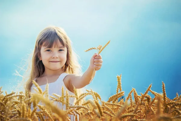 Buğday Tarlasında Bir Çocuk Seçici Odak — Stok fotoğraf