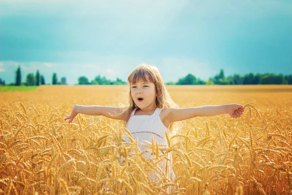 Kind Einem Weizenfeld Selektiver Fokus — Stockfoto