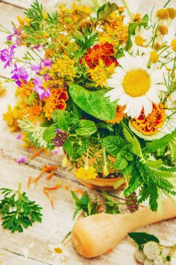 Otlar. Şifalı bitkiler. Seçici odak. 