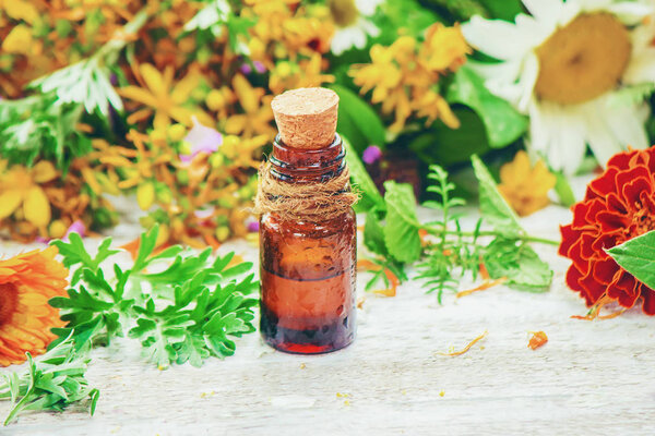 Herbs. Medicinal plants. Selective focus. 