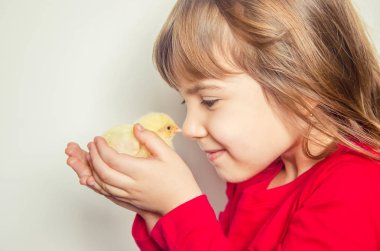 Çocuk elinde bir tavuk. Seçici odak. 