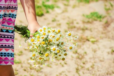 Papatya kızla. Seçici odak. 