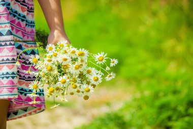 Papatya kızla. Seçici odak. 