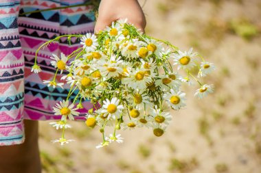 Papatya kızla. Seçici odak. 