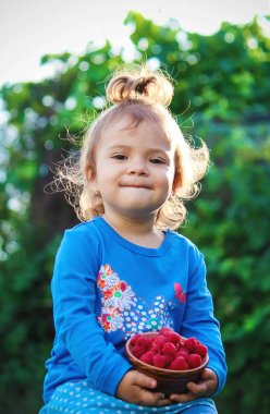 Çocuk ve ahududu. Seçici odak.