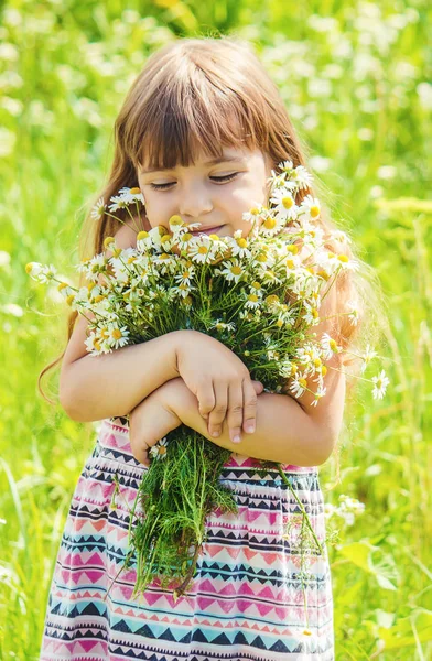 Menina Com Camomila Foco Seletivo — Fotografia de Stock