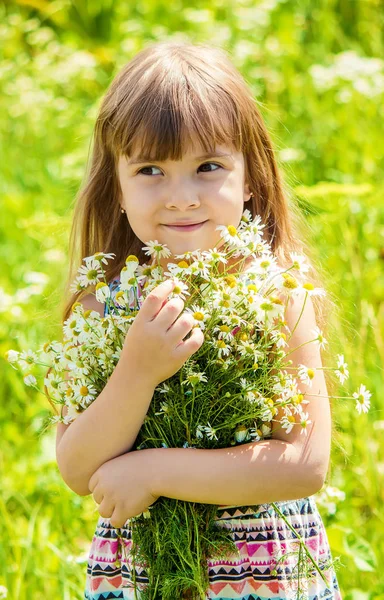 Une Fille Avec Camomille Concentration Sélective — Photo