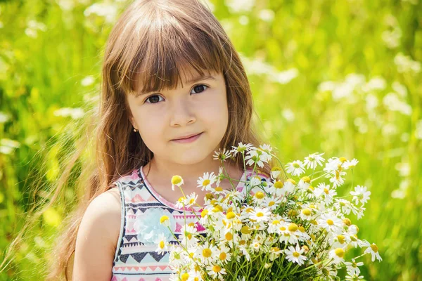 Mädchen Mit Kamille Selektiver Fokus — Stockfoto