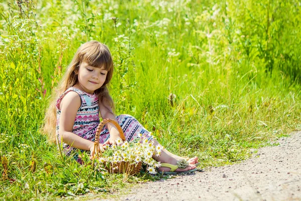 Papatya kızla. Seçici odak. 