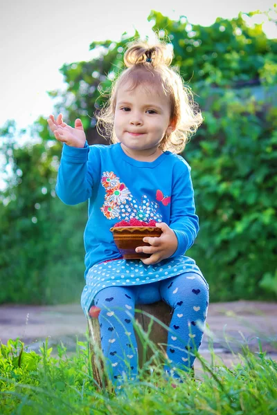 子供とラズベリー 選択と集中 — ストック写真