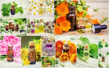 Şifalı otlar kolaj. Seçici odak.