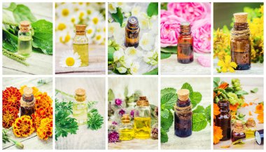 Şifalı otlar kolaj. Seçici odak.