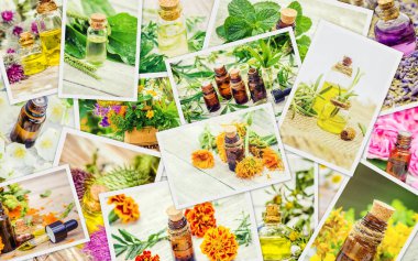 Şifalı otlar kolaj. Seçici odak.