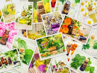 Şifalı otlar kolaj. Seçici odak.