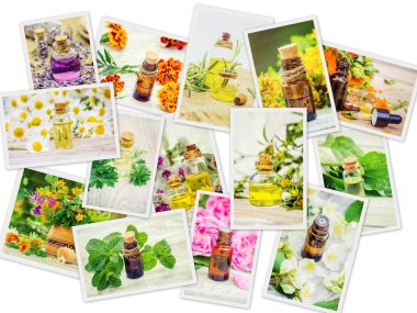 Şifalı otlar kolaj. Seçici odak.