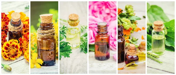 Medicinal Herbs Collage Selective Focus — Stock Photo, Image
