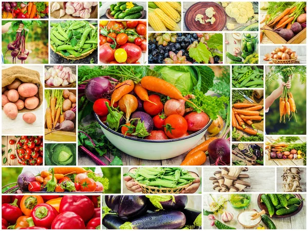 Collage Diferentes Verduras Comida Vegetariana — Foto de Stock