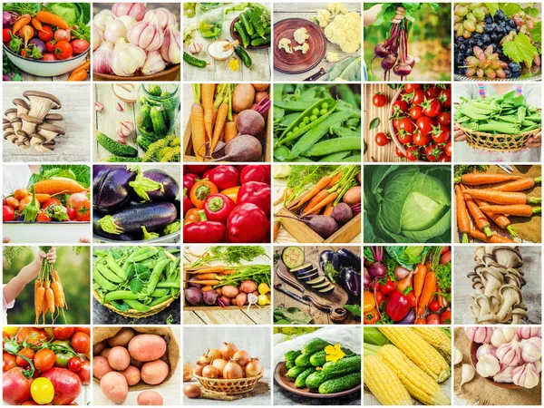 Collage Diferentes Verduras Comida Vegetariana — Foto de Stock