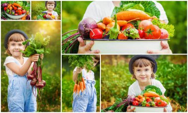 Çocuk ve sebze. Seçici odak. 