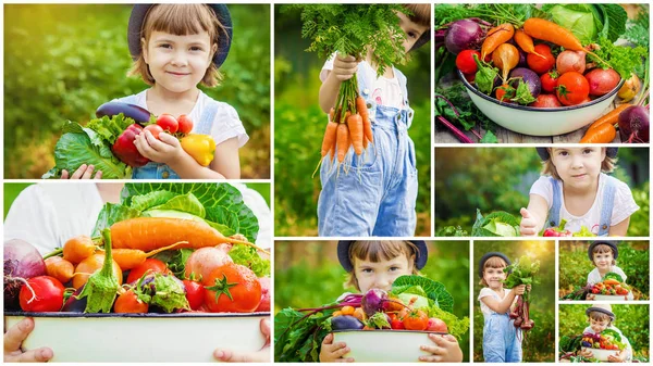 Kind Groenten Selectieve Aandacht — Stockfoto