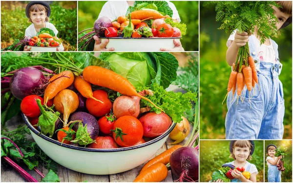 Niño Verduras Enfoque Selectivo — Foto de Stock