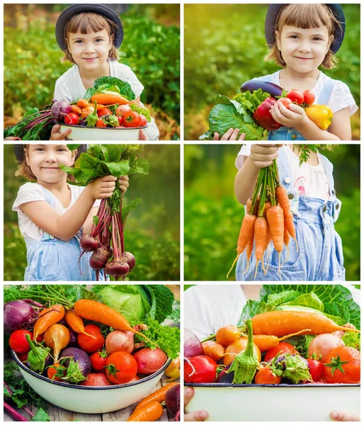 Niño Verduras Enfoque Selectivo — Foto de Stock