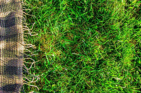 잔디에서 피크닉을 무늬입니다 선택적 — 스톡 사진