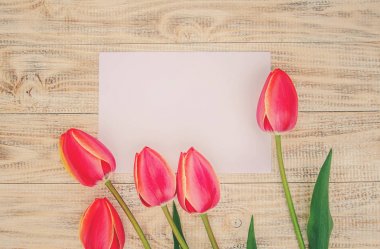 Tebrikler ve Lale hafif bir arka plan üzerinde. seçici odak. 