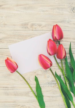 Tebrikler ve Lale hafif bir arka plan üzerinde. seçici odak. 