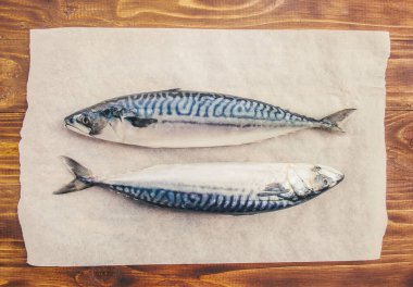 çiğ balık uskumru götürüyor. Seçici odak. 