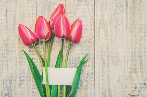 Вітання Тюльпани Світлому Тлі Вибірковий Фокус — стокове фото
