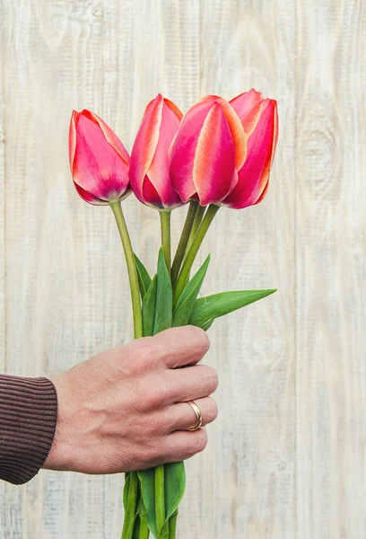 Вітання Тюльпани Світлому Тлі Вибірковий Фокус — стокове фото