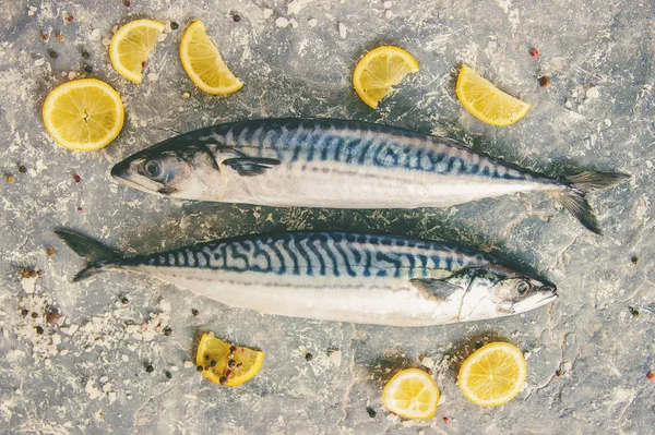 Fisk Makrill Selektivt Fokus — Stockfoto