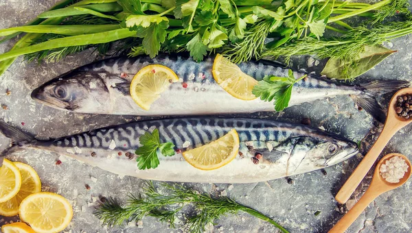 Fisk Makrill Selektivt Fokus — Stockfoto